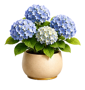 Mia's plant — thriving