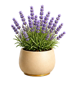 Theo's plant — thriving
