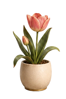 Sam's plant — could use a moment